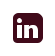 LinkedIn Icon